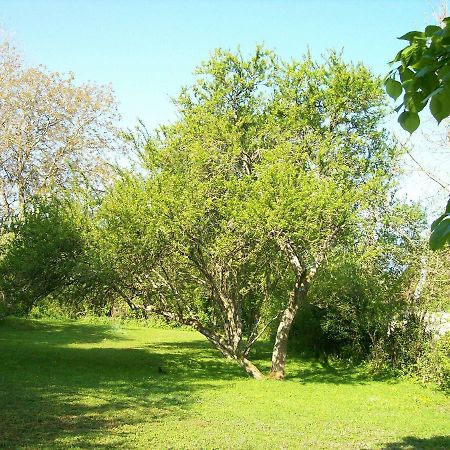 Chez Scallan B&B Sens sur Seille Esterno foto