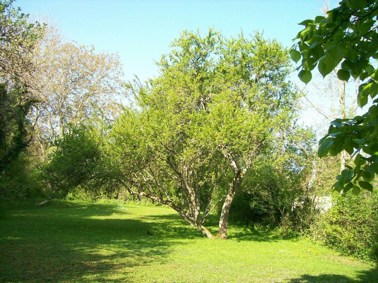 Chez Scallan B&B Sens sur Seille Esterno foto